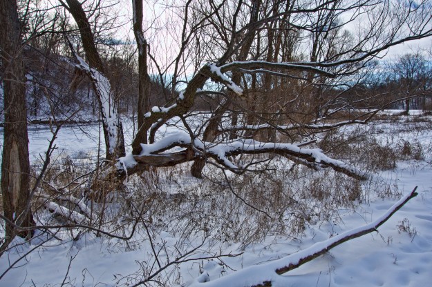Copyright © 2012 by Roy Murray, all rights reserved.