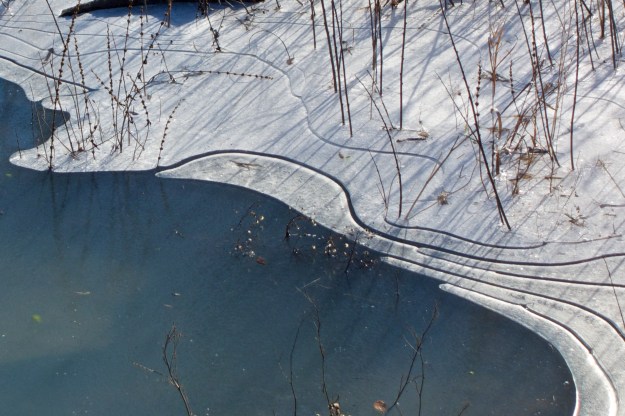 Patterns in the ice.