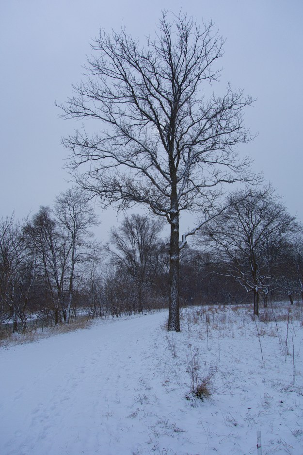 Looking south just before Humber Creek.