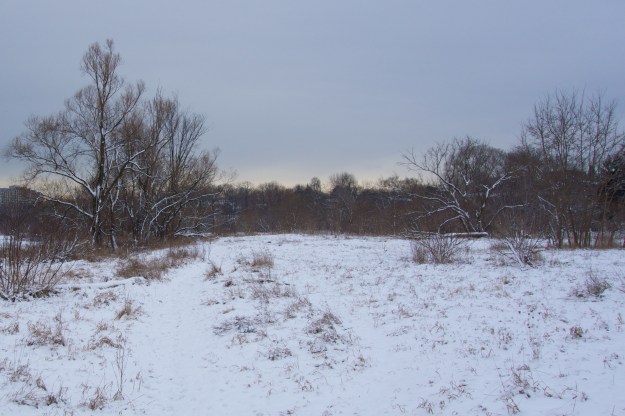 DSC00542
