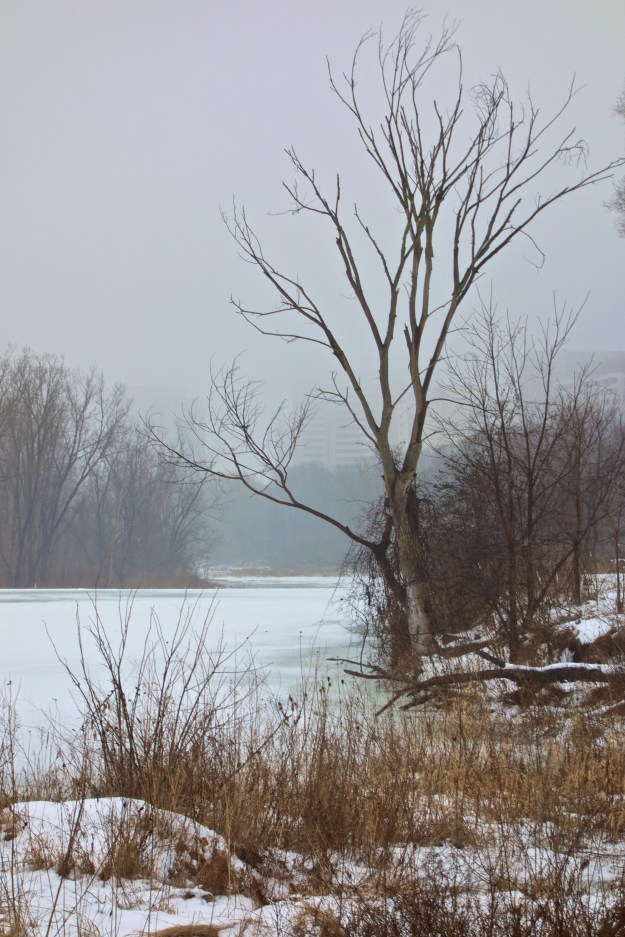 Looking south towards the weir.