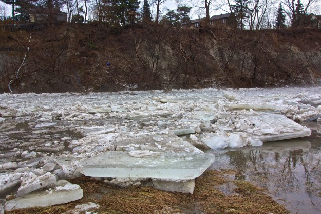 Ice pushed ashore - not very thick compared to some years.