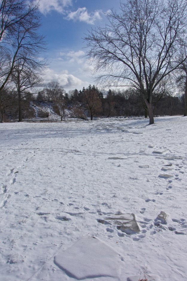 Ice stretching at least 100m from the river.