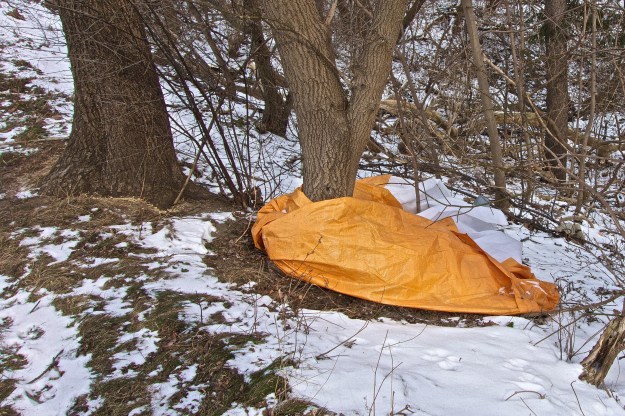 A tarp from a building site wraps around a tree.