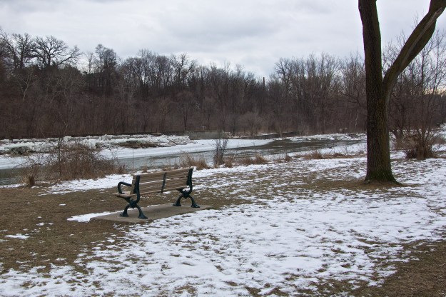 The bench as it looked today.