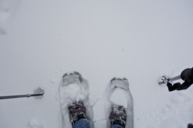 Snowshoes at work.
