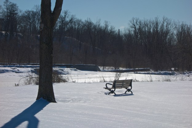 The bench has had a makeover courtesy of the snow.