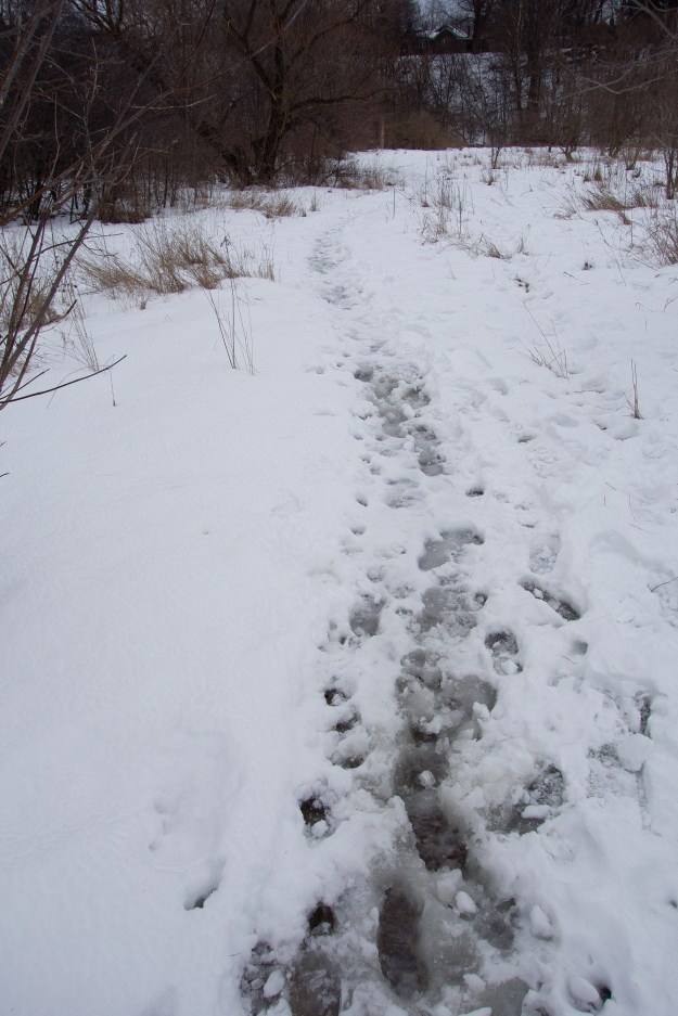 Snow + rain + mild + freeze = 1 bumpy ride.