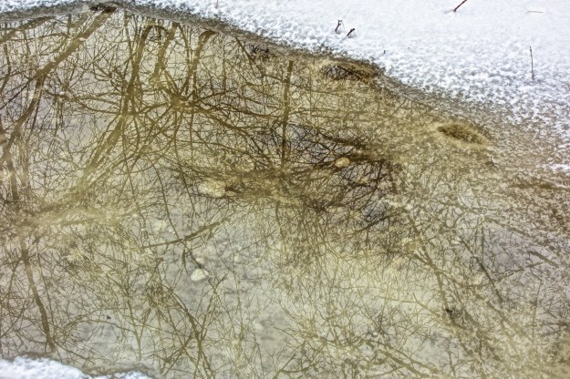 Large pools of water form in depressions.