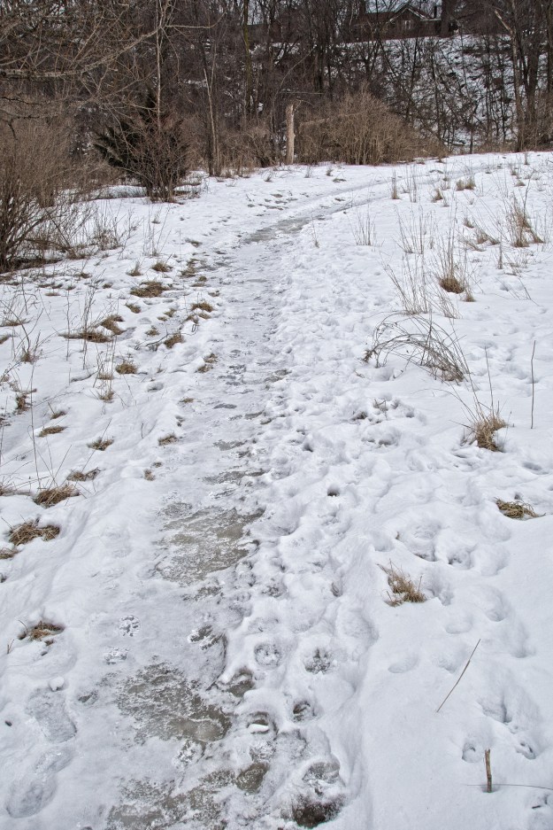 The path has been transformed into a ribbon of ice.
