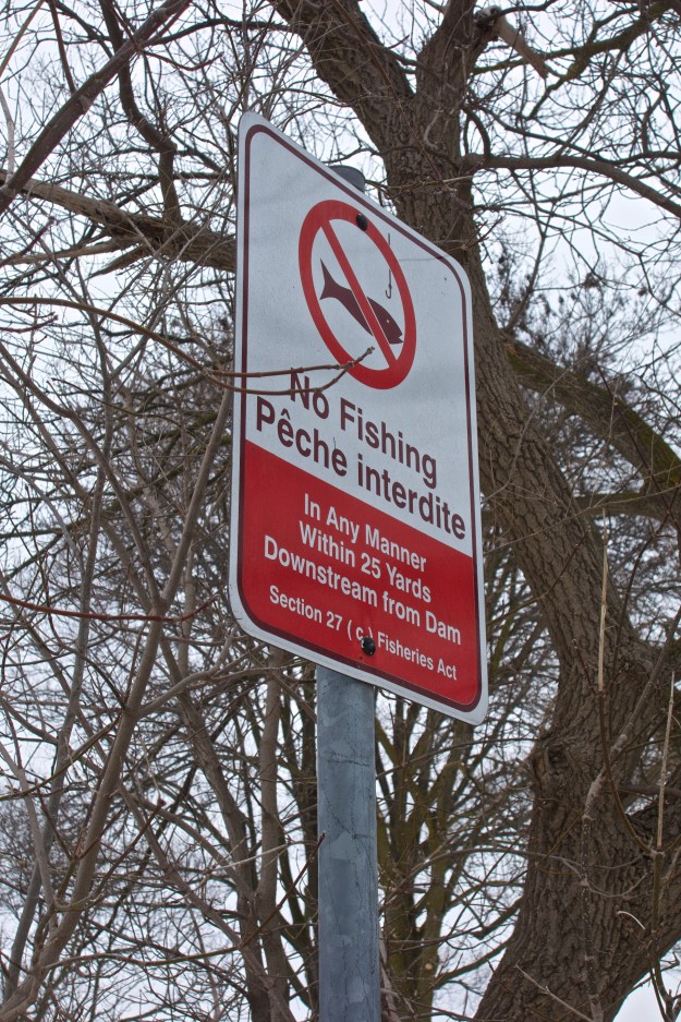 The feds bilingual sign seems to be 25 yards from the weir. It never seems to stop anyone though.