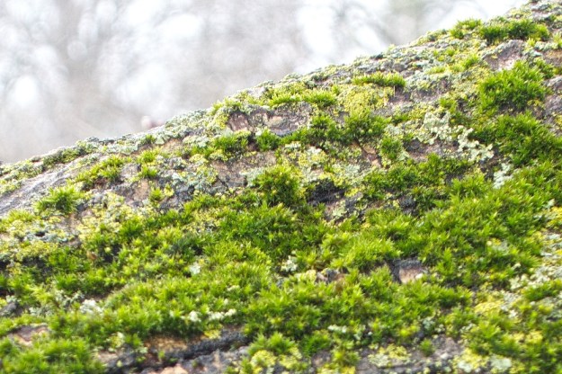 It's a miniature world.
