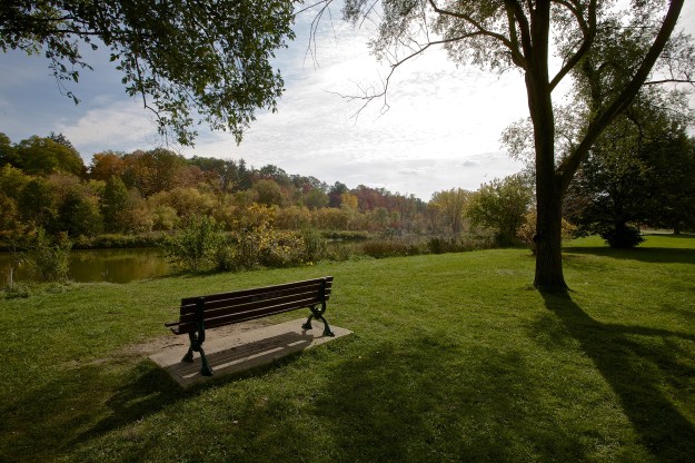 The bench in October 2011.
