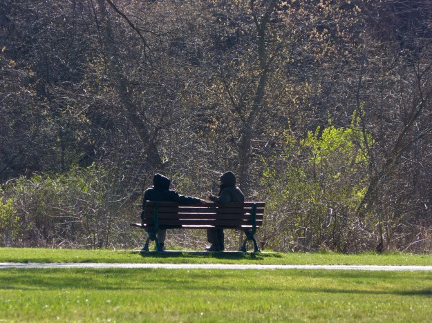 The bench in springtime (April 2012).