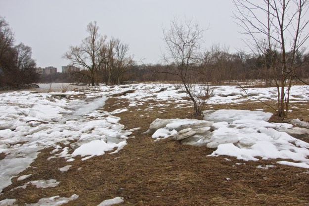 The land is saturated.