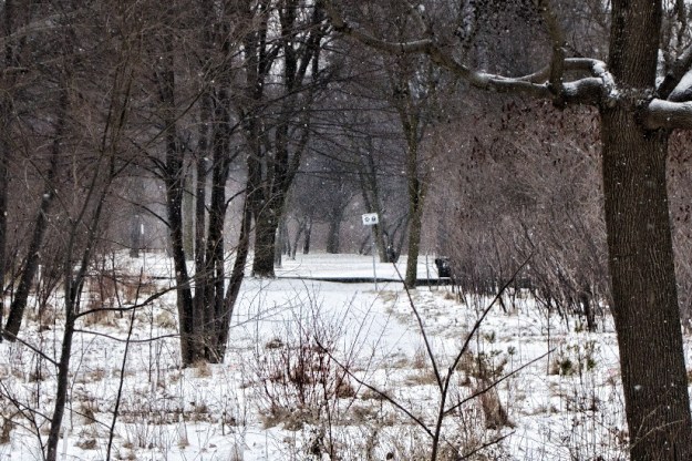 Looking north along the path by the weir.