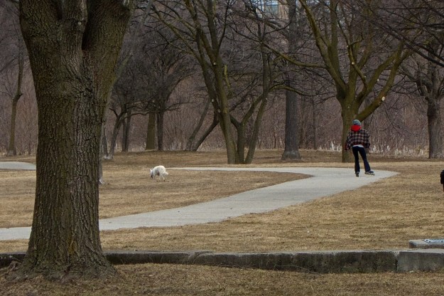 I'm such a free spirit, I don't leash my dog.