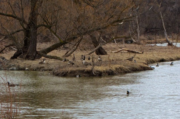 Lots of activity by the river.