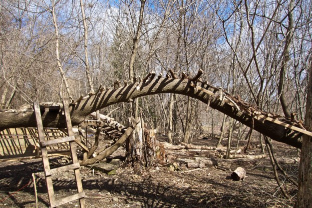 It's a thing of beauty, bringing to mind a dinosaur skeleton.