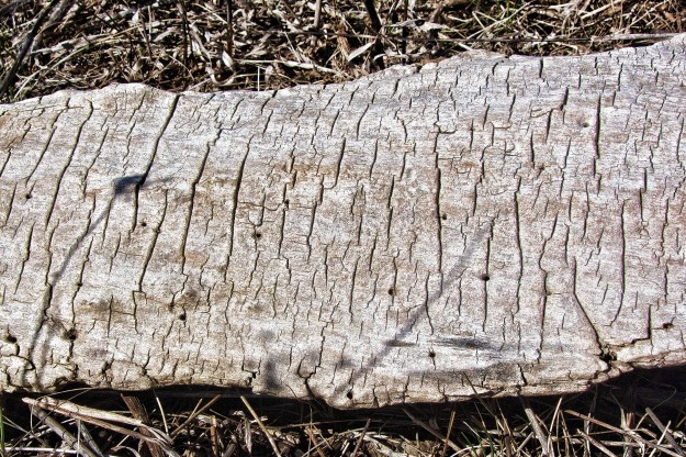 Tons of material gets left behind when the ice melts.