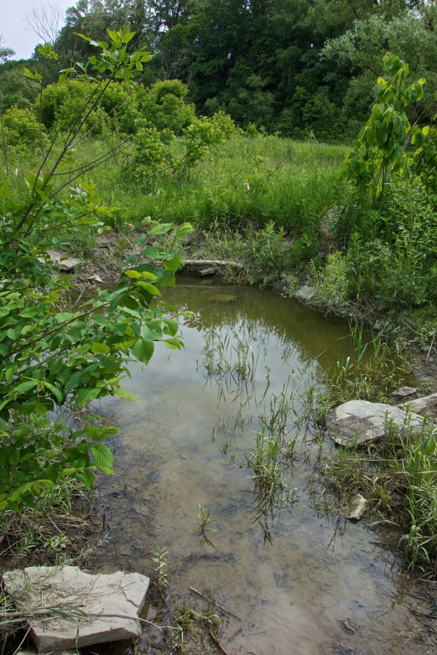 The newly carved pond.