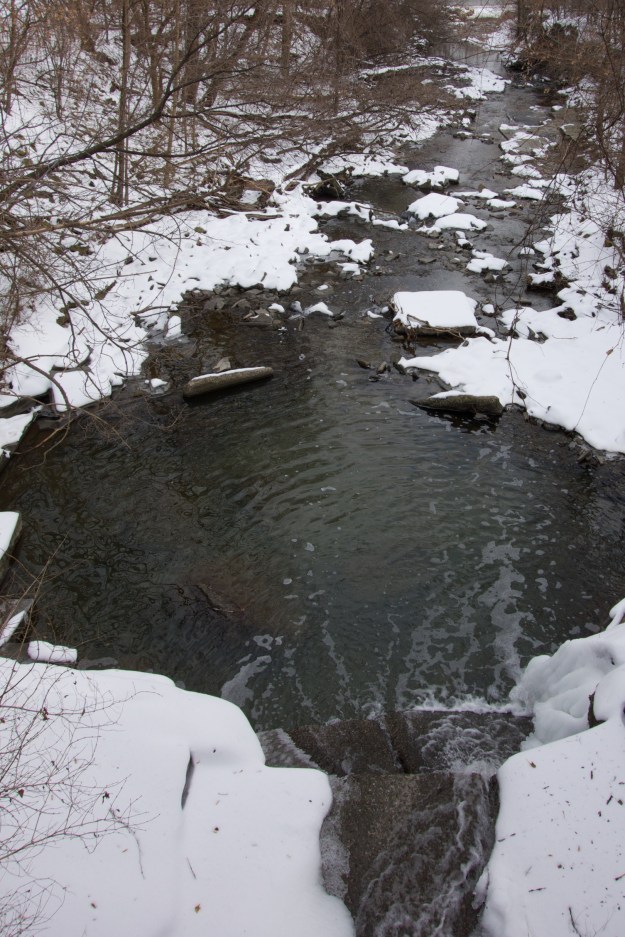Humber Creek last January