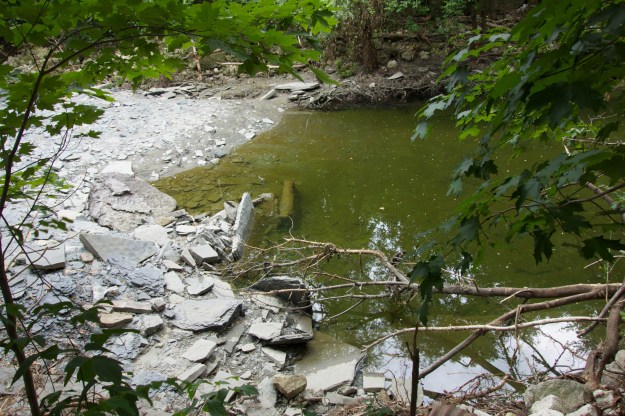 Silt forms a dam blocking passage of water creating a deep pool.