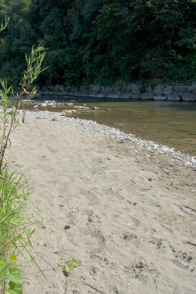 Looking north; the curve of the river allows sandy sediments to be deposited here.