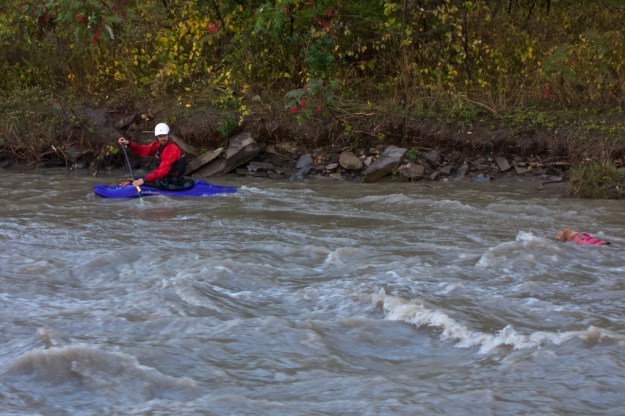 Steve pulls into quiet water to let his dog catch up.