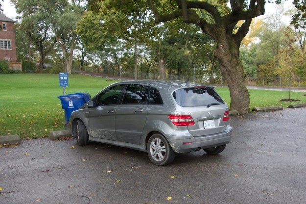 The dogs arrive in this vehicle.