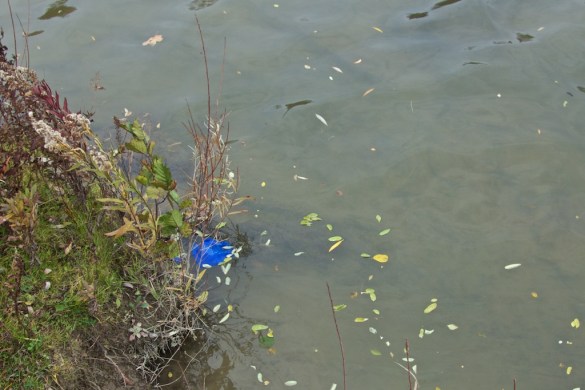 The wax, where it was dumped.