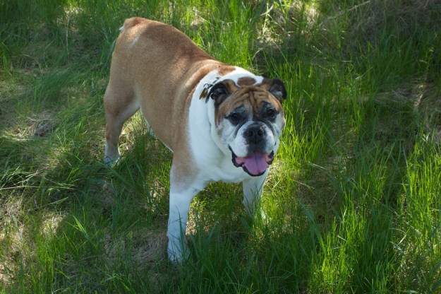 Mugsey May 2013