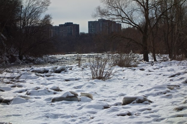 Ice littering the banks of the Humber, January 2014.