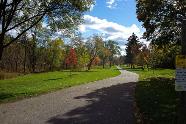 The newer tree plantings are showing nice colour.