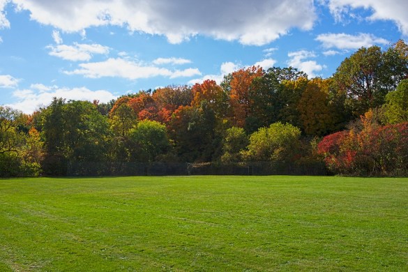 A nice backdrop to the southernmost baseball diamond. This is where the new leash free zone is planned.