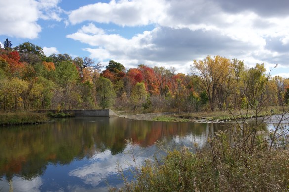 A nice reflection in the waters of the weir.