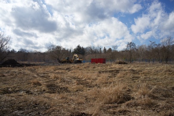 Another view showing the extent of the clearance.