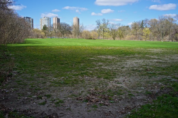 The view north from the upcoming leash free zone.