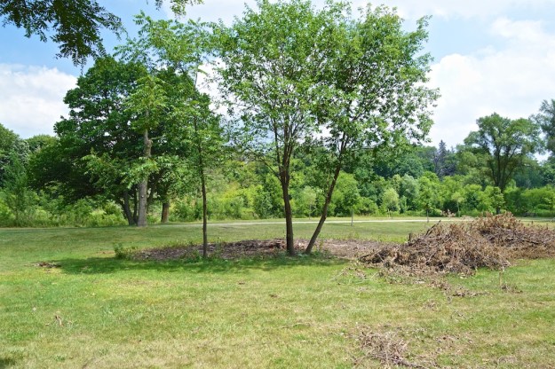 The island site shortly after its removal.