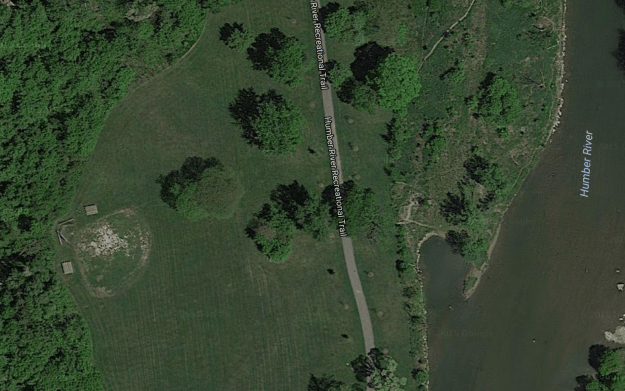 The island in from Google Earth.